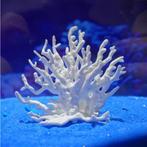 Aquarium Koraal Decoratie – Resin Nep Koraal Ornament, Verzenden, Nieuw