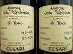 2019 Cesari, Il Bosco - Amarone della Valpolicella DOCG - 2, Nieuw