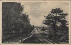 VELUWE - Op de Veluwe. Karreweg, Verzenden, Gelopen