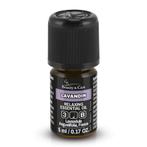 Beauty & Care Lavandin olie 5 ml.  new, Ophalen of Verzenden, Nieuw
