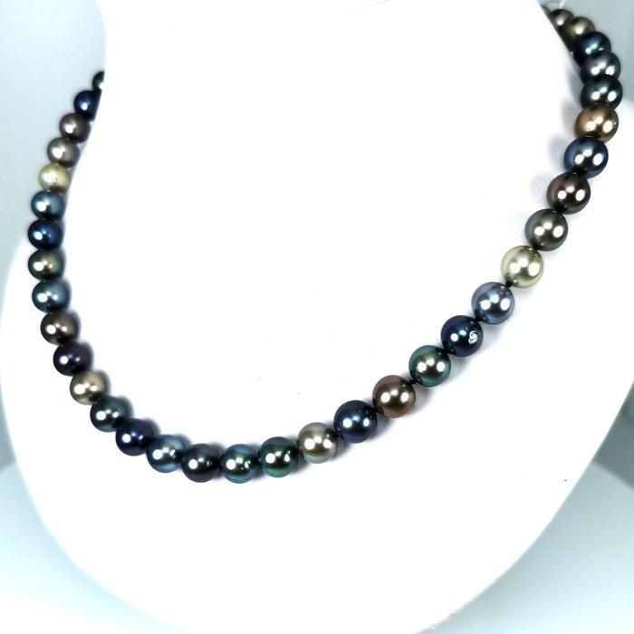Halsketting Zilver Parel - Tahiti multicolors Ø8x9MM, Sieraden, Tassen en Uiterlijk, Kettingen