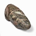 Mesopotamisch Serpentijn Kikker, Verzamelen, Mineralen en Fossielen