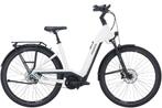 Pegasus Premio Evo 5F Lite  55cm dames, 51 tot 55 cm, Ophalen of Verzenden, Nieuw, 50 km per accu of meer
