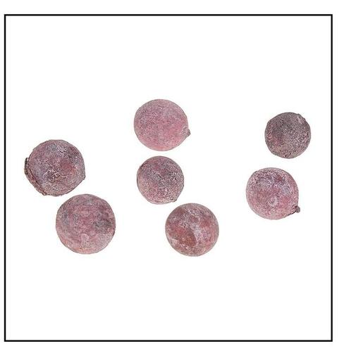 Pal Fruit Terra cotta 200gr Pal Fruit Terra cotta 200, Hobby en Vrije tijd, Knutselen, Nieuw, Ophalen of Verzenden