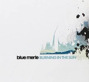cd - Blue Merle - Burning in the Sun, Cd's en Dvd's, Cd's | Overige Cd's, Zo goed als nieuw, Verzenden