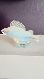 Lalique - Beeldje - Luminescent Fish Ornament - Kristal