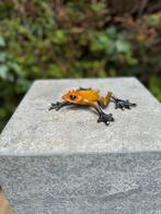 Bronzen Kikker -Tuinbeeld - Tuindecoratie -Vijver, Tuin en Terras, Verzenden, Nieuw, Metaal, Dierenbeeld