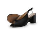 Notre-V Pumps in maat 41 Zwart | 10% korting, Kleding | Dames, Schoenen, Notre-V, Pumps, Verzenden, Zwart