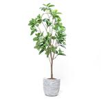 Kunst Rubberboom 180 cm kunstplant