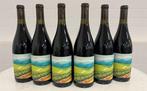 2020 Saison Winery. Pinot Noir Lester. - Californië - 6, Nieuw