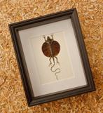 Draakje Taxidermie volledige montage - Drago haematopogon -