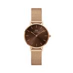 Daniel Wellington Petite Amber, Verzenden, Nieuw