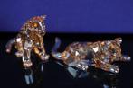 Figuur - Swarovski - SCS Amur Leopard Cubs - Kristal