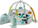 Tryco Ball Pit en Activity Gym Speelkleed/Ballenbak, Kinderen en Baby's, Speelgoed | Babyspeelgoed, Verzenden, Nieuw