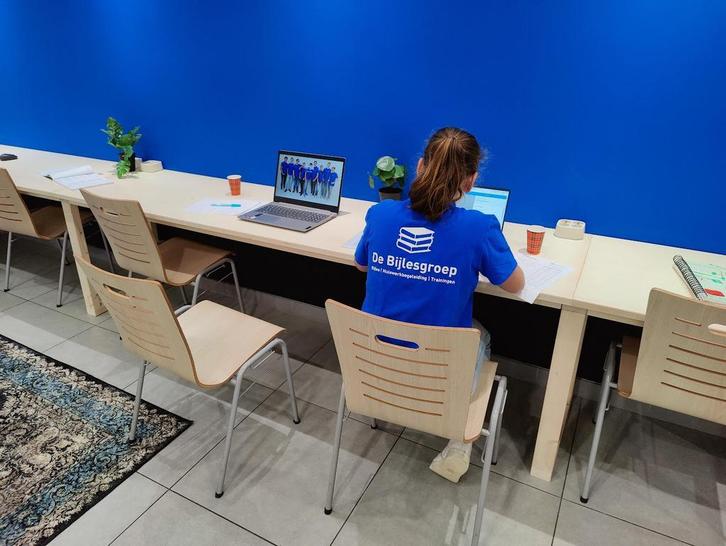 Bijles van ervaren studenten! - Alle vakken en niveaus, Diensten en Vakmensen, Bijles, Privé-les en Taalles, Bijles, Huiswerkbegeleiding