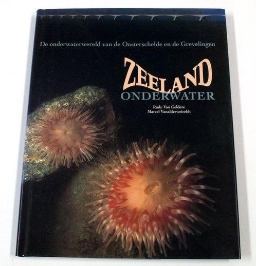 Zeeland onderwater - R. van Geldere 9789068251289, Boeken, Wetenschap, Gelezen, Verzenden