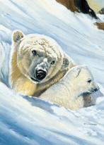 Kunstdruk Renato Casaro - Eisbär-Mama 50x70cm, Verzenden, Nieuw