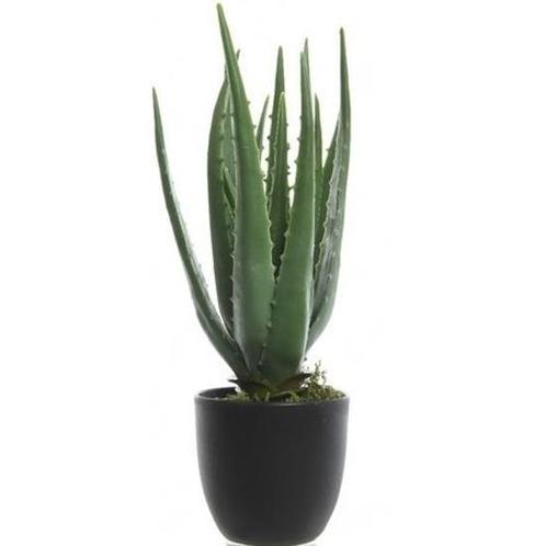 Groene aloe vera kunstplant 35 cm in zwarte pot - Overige .., Huis en Inrichting, Kamerplanten, Verzenden