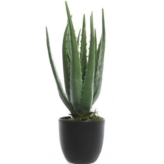 Groene aloe vera kunstplant 35 cm in zwarte pot - Overige .., Huis en Inrichting, Kamerplanten, Verzenden