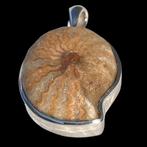 Paleo Collectie hanger - Fossiele ammoniet Zilvergietsel -, Verzamelen, Mineralen en Fossielen