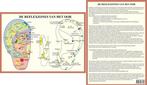 Anatomie poster oorreflexzones (Nederlands, gelamineerd, A4), Verzenden, Nieuw