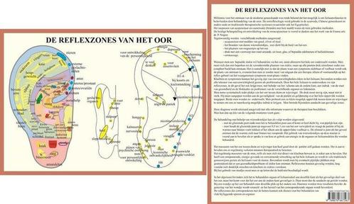 Anatomie poster oorreflexzones (Nederlands, gelamineerd, A4), Sport en Fitness, Overige Sport en Fitness, Verzenden