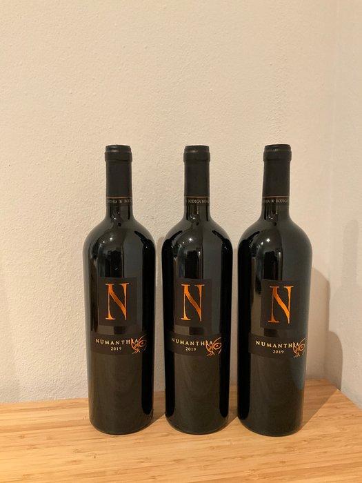 2019 Bodega Numanthia - Toro - 3 Flessen (0.75 liter), Verzamelen, Wijnen