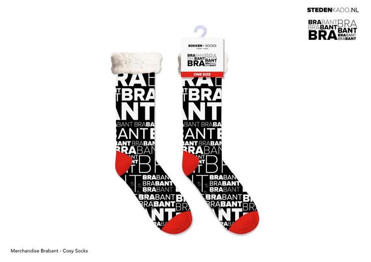 PARTIJ HUISSOKKEN BRABANT, Kleding | Dames, Sokken en Kousen, Nieuw, Verzenden