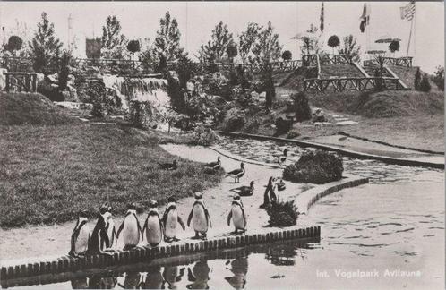 ALPHEN A/D RIJN - Int. Vogelpark Avifauna, Verzamelen, Ansichtkaarten | Nederland, Verzenden