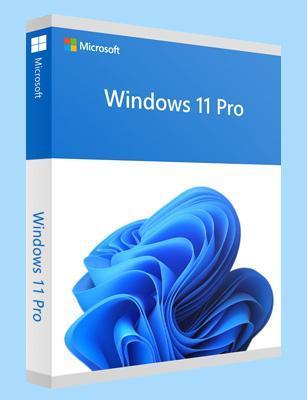 Windows 11 Professional – Directe levering, Computers en Software, Besturingssoftware, Nieuw, Windows, Verzenden