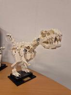 Lego Set - 21320 - Ideas (CUUSOO) - Dinosaur Fossils, Nieuw