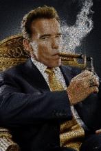 David Law - Crypto Arnold Schwarzenegger