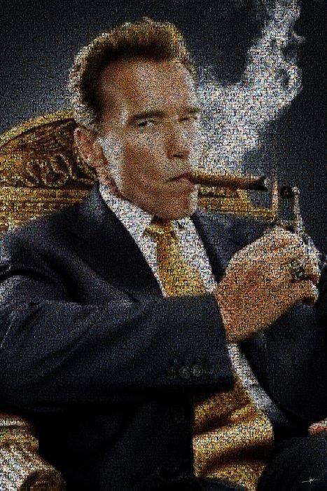 David Law - Crypto Arnold Schwarzenegger, Antiek en Kunst, Kunst | Designobjecten