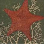 cd - The Blithe Sons - Arm Of The Starfish, Verzenden, Zo goed als nieuw