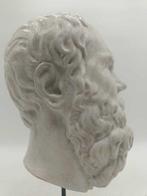 sculptuur, Testa del filosofo Socrate - 39 cm - marmerstof