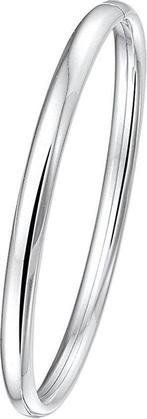 The Jewelry Collection - Bangle Dop Ovale Buis 5 X 60 mm -, Verzenden, Nieuw