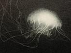 Arioto  - Edition: 21/30 - 2021 SOLD OUT BY THE ARTIST