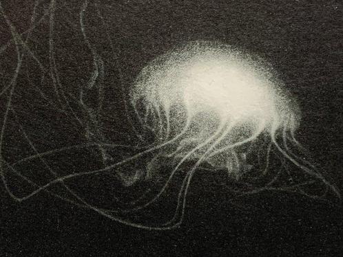 Arioto  - Edition: 21/30 - 2021 SOLD OUT BY THE ARTIST, Antiek en Kunst, Antiek | Overige Antiek