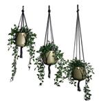 Voordeelset van 3 Plantenhangers - Zwart - 80, 100 en 120, Huis en Inrichting, Ophalen of Verzenden, Nieuw