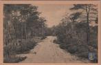 NUNSPEET - In het Bos, Verzenden, Gelopen