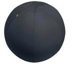 Leitz Ergo Actieve Zitbal - Anti-rol design - 75cm -, Nieuw