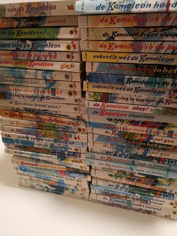 Kameleon | €5,50 per stuk | Jeugdboeken | H. de Roos, Boeken, Kinderboeken | Jeugd | 10 tot 12 jaar, Fictie, Gelezen, Verzenden