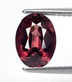 Zonder minimumprijs Spinel - 2.16 ct - Antwerp Laboratory, Nieuw