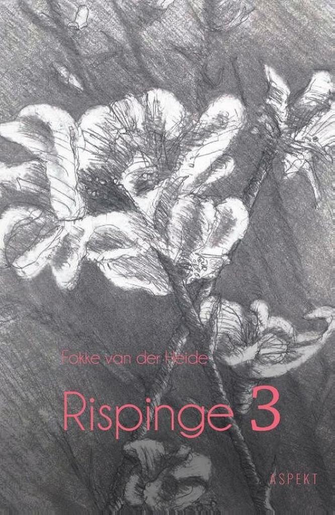 Rispinge / 3 9789464247718 Fokke van der Heide, Boeken, Godsdienst en Theologie, Zo goed als nieuw, Verzenden