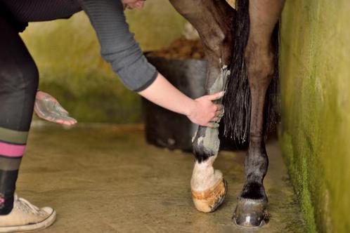 Horse Leg Cleaner 500 ml, Dieren en Toebehoren, Paarden en Pony's | Verzorgingsproducten, Nieuw, Ophalen of Verzenden