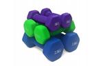 Dumbell combinatie set 10 kg totaal - met koffer, Ophalen of Verzenden, Nieuw