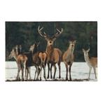 deurmat sneeuw roedel herten 75x50cm, Tuin en Terras, Verzenden, Nieuw