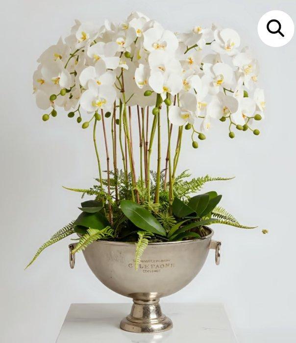 Champagne koeler - XL Cuvée de Prestige Champagne du, Antiek en Kunst, Curiosa en Brocante