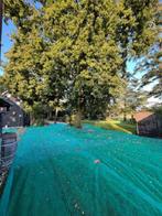 Herfstnet vijvernet bladnet Budget 3,07x50 m hdpe 55gr, Tuin en Terras, Vijver-toebehoren, Verzenden, Nieuw, Vijvernet