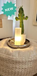 Seleniet cilinder lamp ± 25cm hoog, Nieuw